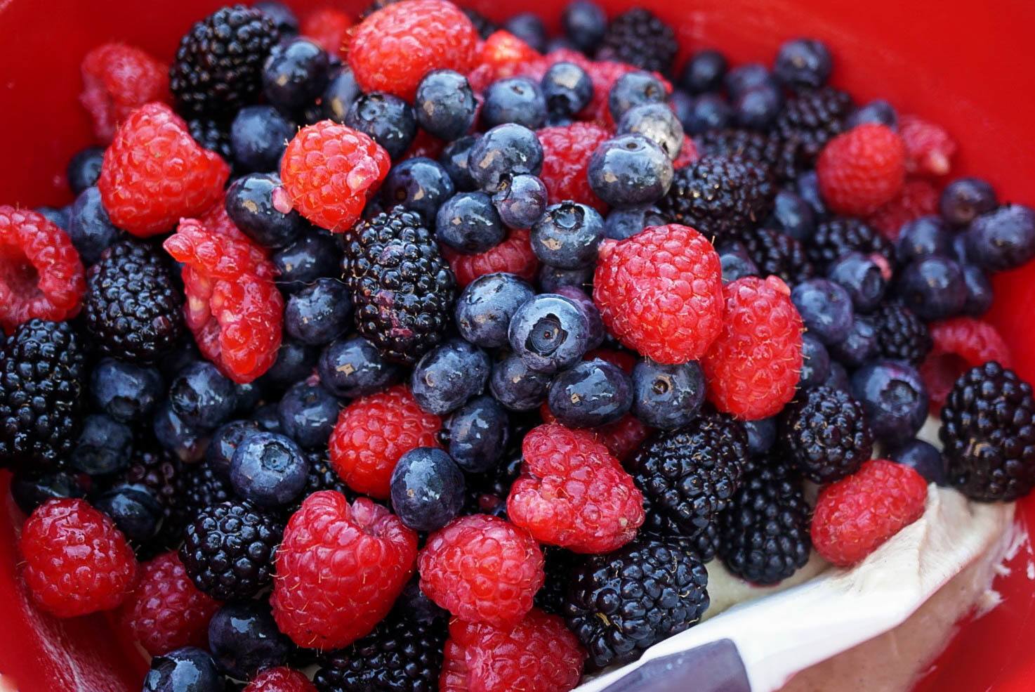 Fresh berries for Alaskan Blueberry Cake